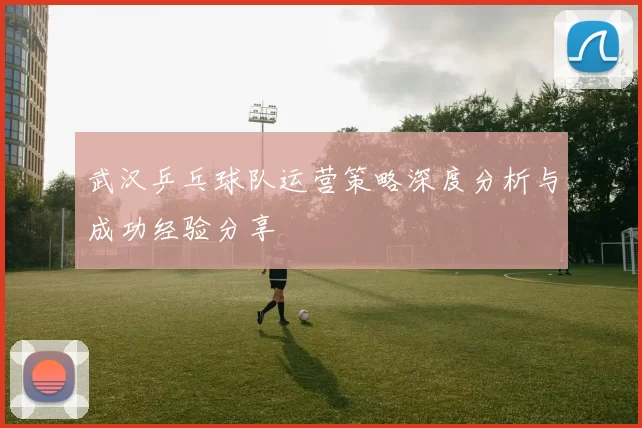 武汉乒乓球队运营策略深度分析与成功经验分享