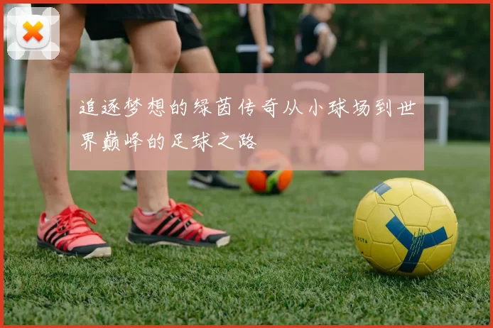 追逐梦想的绿茵传奇从小球场到世界巅峰的足球之路