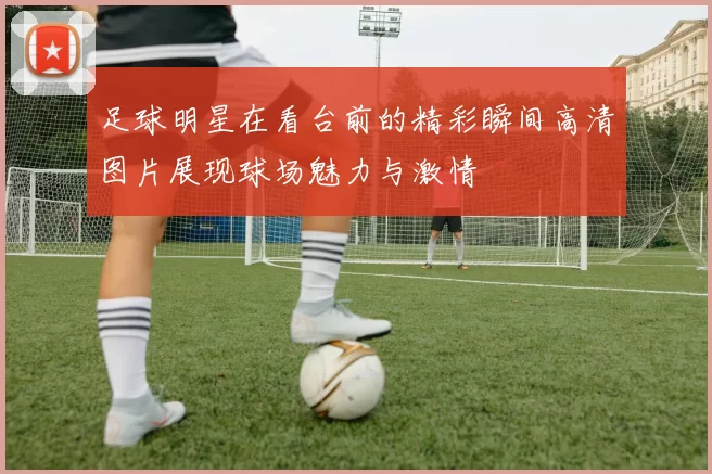 足球明星在看台前的精彩瞬间高清图片展现球场魅力与激情