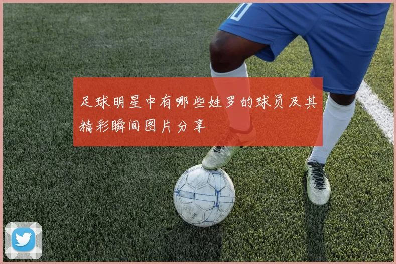 足球明星中有哪些姓罗的球员及其精彩瞬间图片分享
