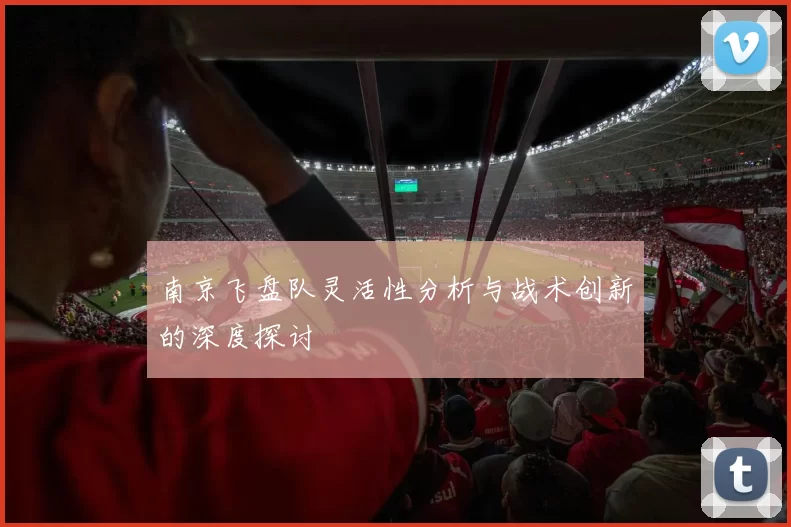 南京飞盘队灵活性分析与战术创新的深度探讨