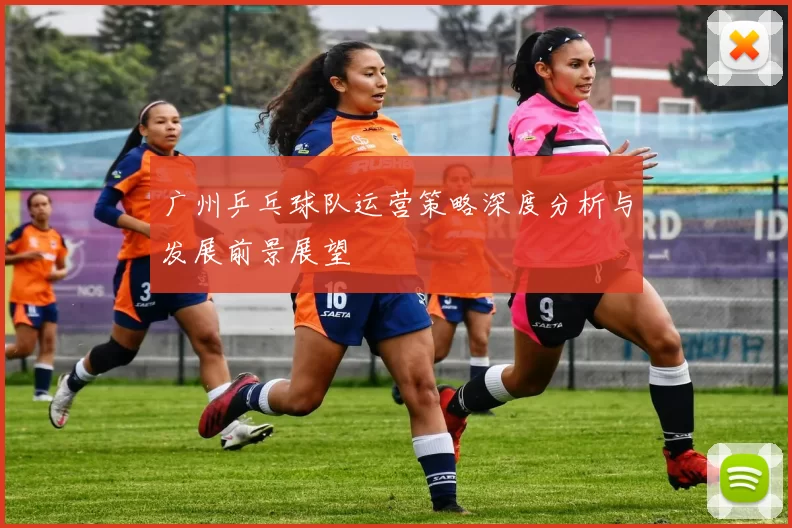 广州乒乓球队运营策略深度分析与发展前景展望