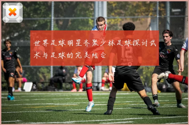 世界足球明星齐聚少林足球探讨武术与足球的完美结合