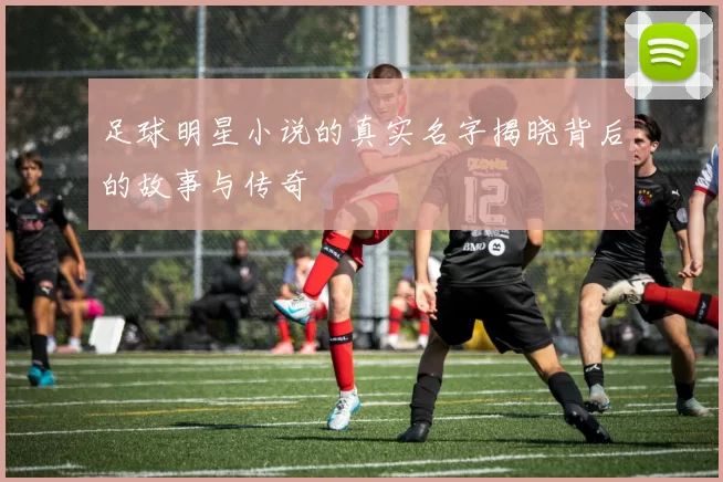 足球明星小说的真实名字揭晓背后的故事与传奇