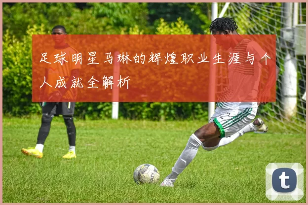足球明星马琳的辉煌职业生涯与个人成就全解析