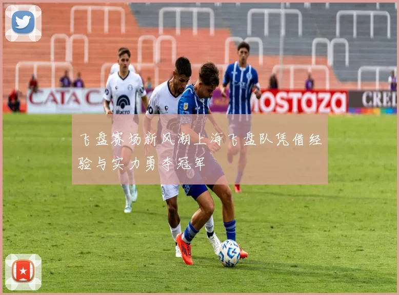 飞盘赛场新风潮上海飞盘队凭借经验与实力勇夺冠军
