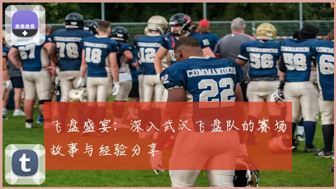 飞盘盛宴：深入武汉飞盘队的赛场故事与经验分享