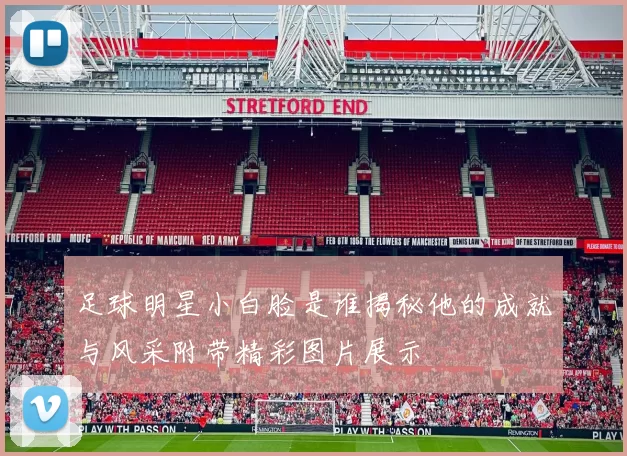 足球明星小白脸是谁揭秘他的成就与风采附带精彩图片展示
