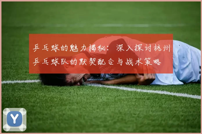 乒乓球的魅力揭秘：深入探讨杭州乒乓球队的默契配合与战术策略