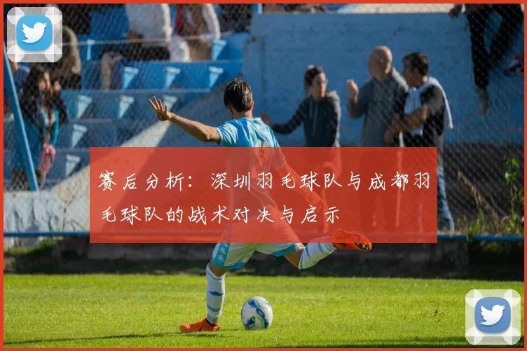 赛后分析：深圳羽毛球队与成都羽毛球队的战术对决与启示