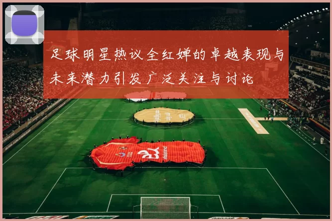 足球明星热议全红婵的卓越表现与未来潜力引发广泛关注与讨论