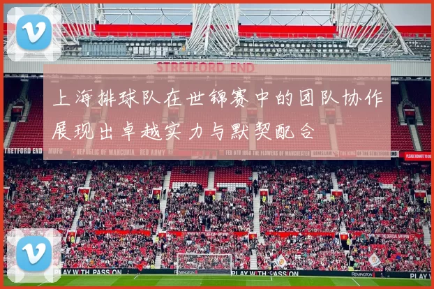 上海排球队在世锦赛中的团队协作展现出卓越实力与默契配合