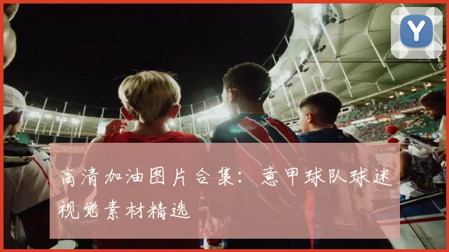 高清加油图片合集：意甲球队球迷视觉素材精选