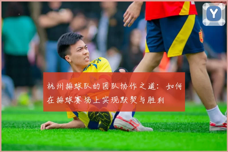 杭州排球队的团队协作之道：如何在排球赛场上实现默契与胜利