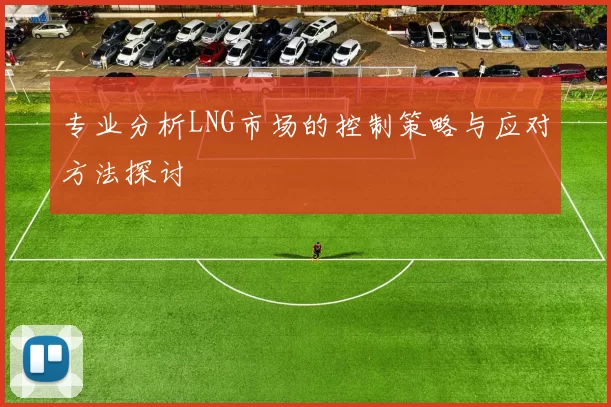 专业分析LNG市场的控制策略与应对方法探讨