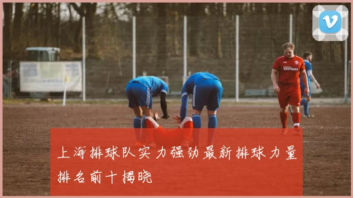 上海排球队实力强劲最新排球力量排名前十揭晓