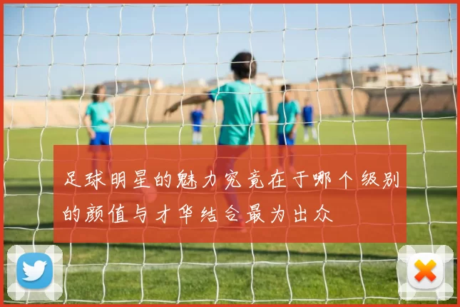 足球明星的魅力究竟在于哪个级别的颜值与才华结合最为出众