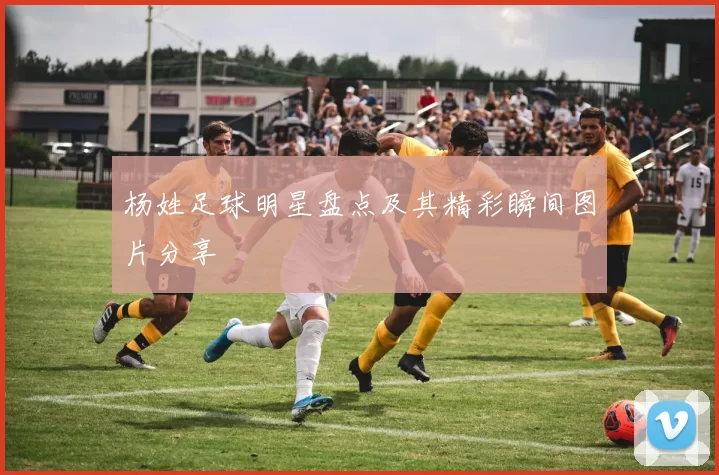 杨姓足球明星盘点及其精彩瞬间图片分享