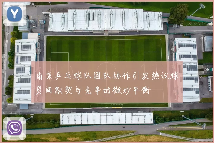 南京乒乓球队团队协作引发热议球员间默契与竞争的微妙平衡