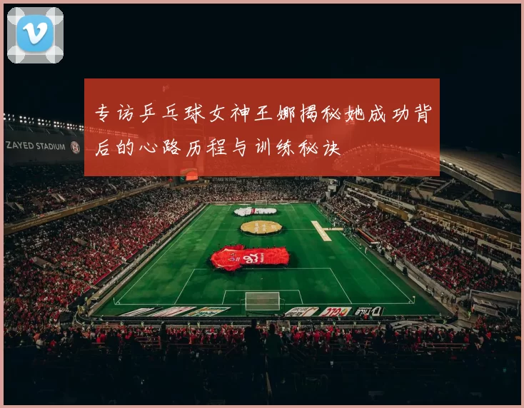 专访乒乓球女神王娜揭秘她成功背后的心路历程与训练秘诀