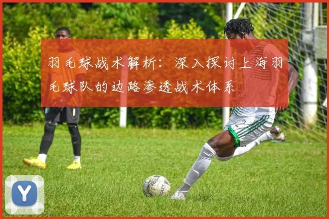 羽毛球战术解析：深入探讨上海羽毛球队的边路渗透战术体系